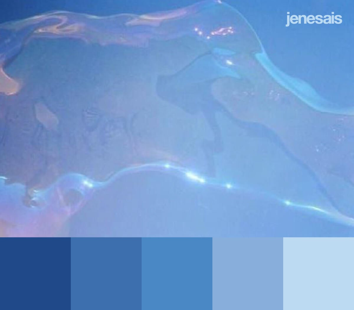 Aesthetic Blue Color Palette