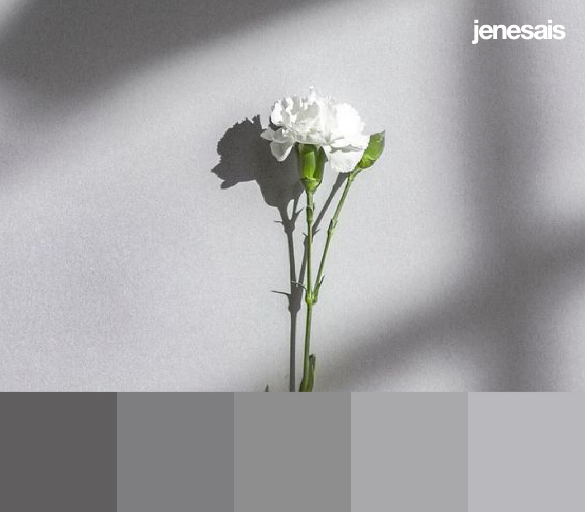 Aesthetic Grey Color Palette