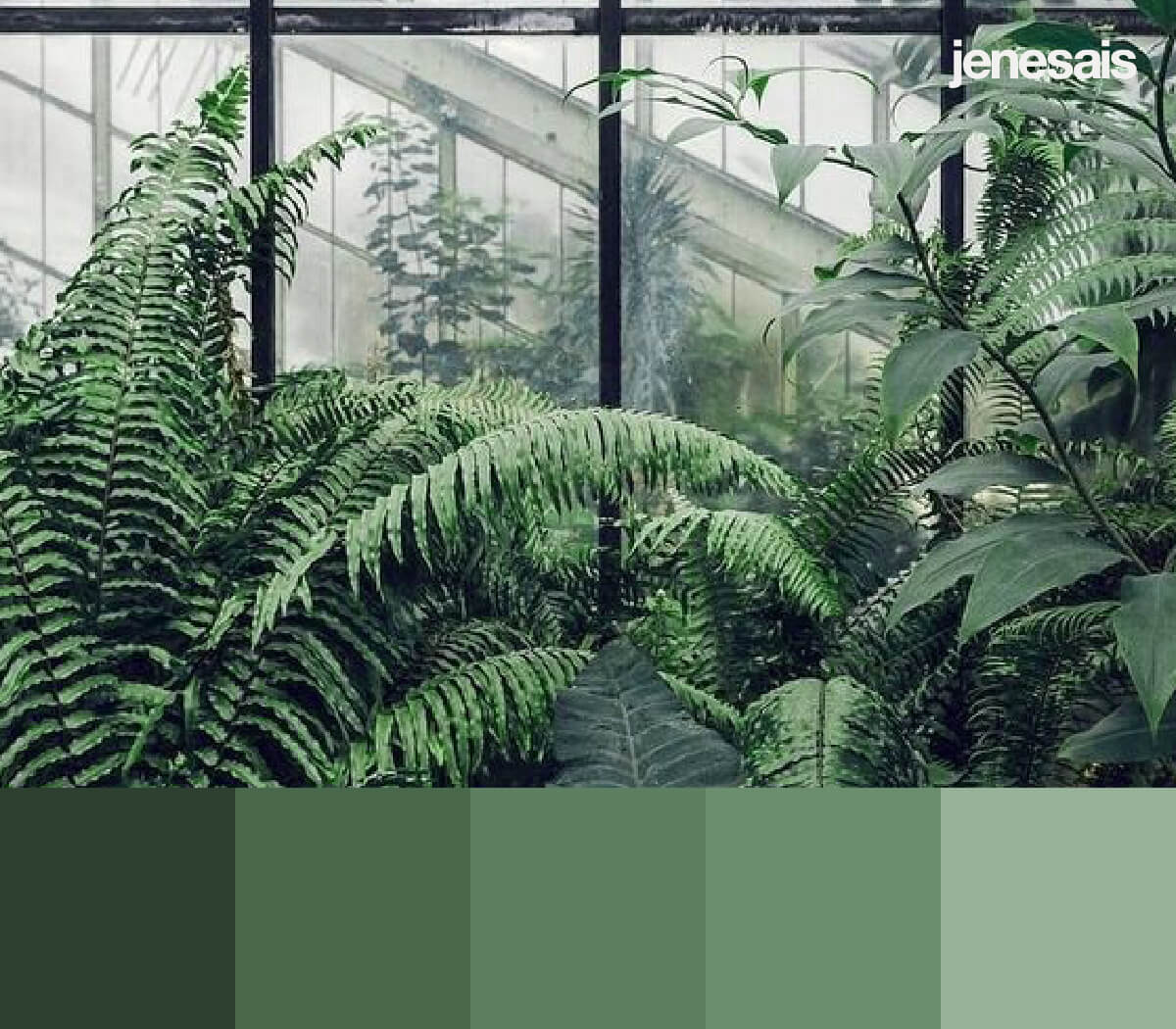 aesthetic color palette