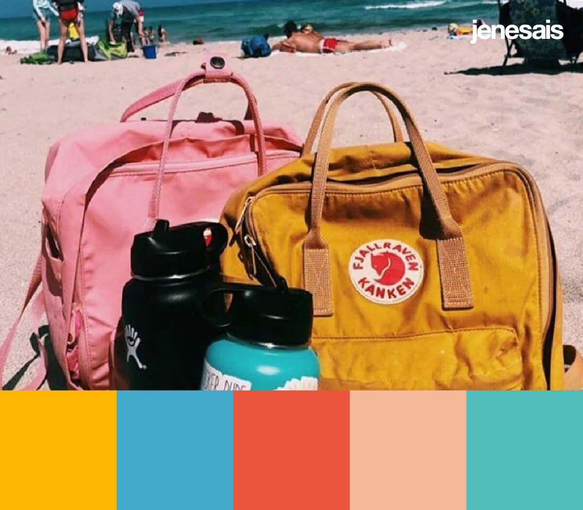 VSCO Aesthetic Color Palette