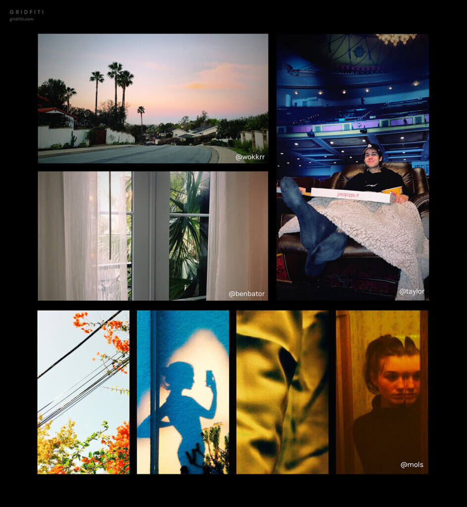 Dispo by David Dobrik The Disposable Camera Effect App