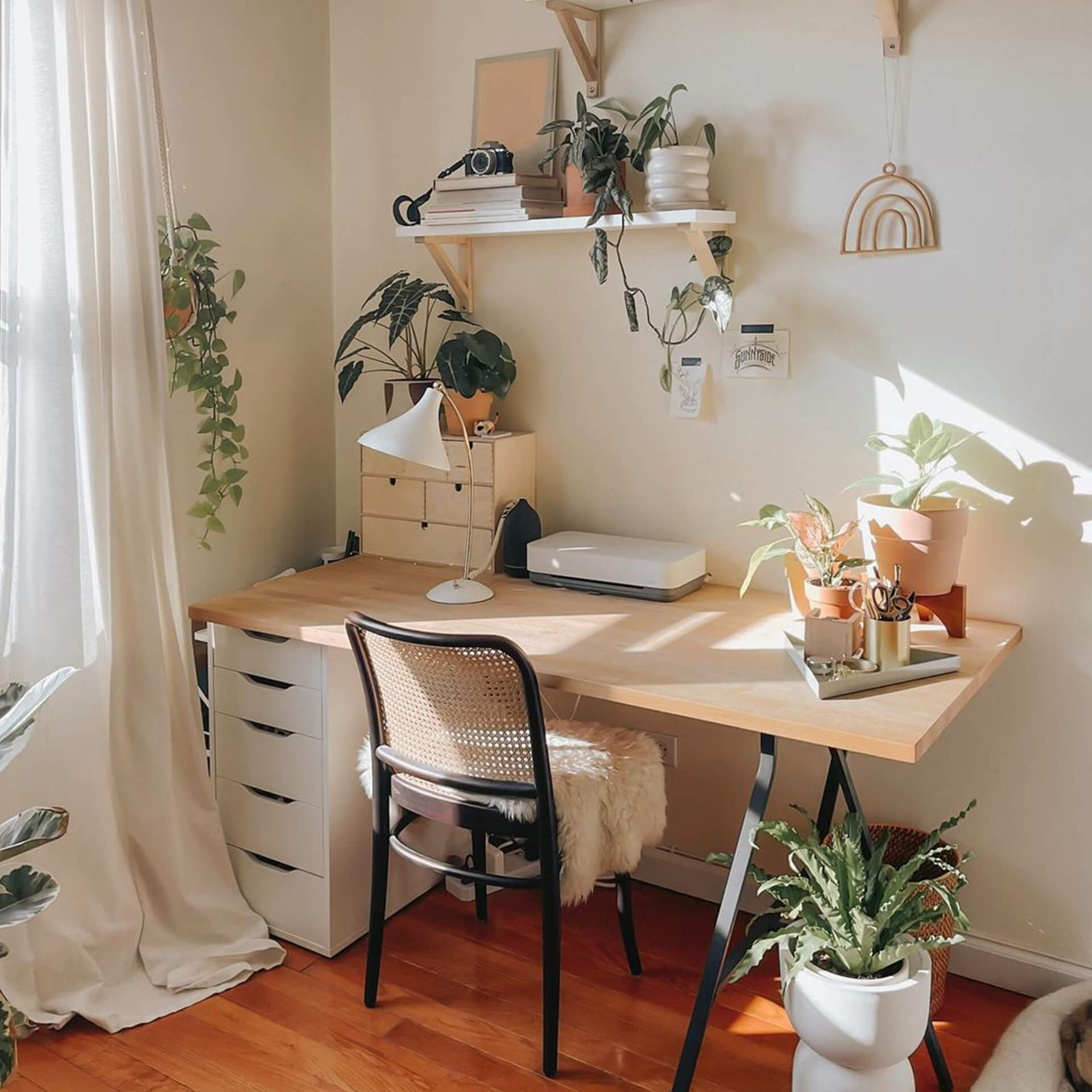 Plant Aesthetic Desk Setup