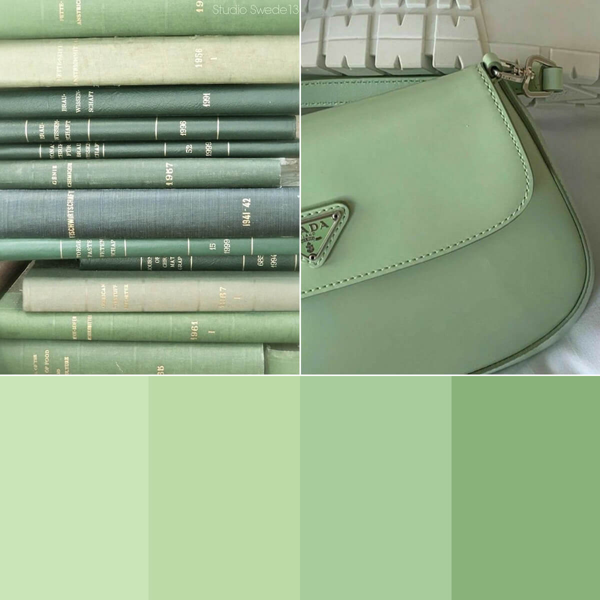 Sage Green Color Palette