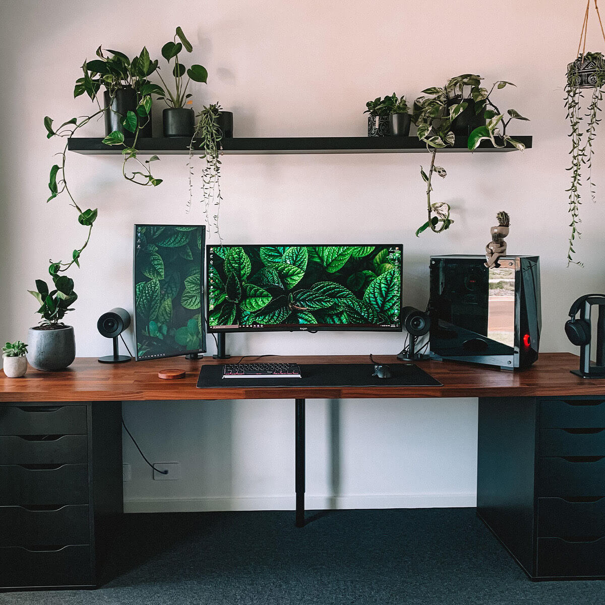 Greenery and Plants-Themed Minimal Battlestation