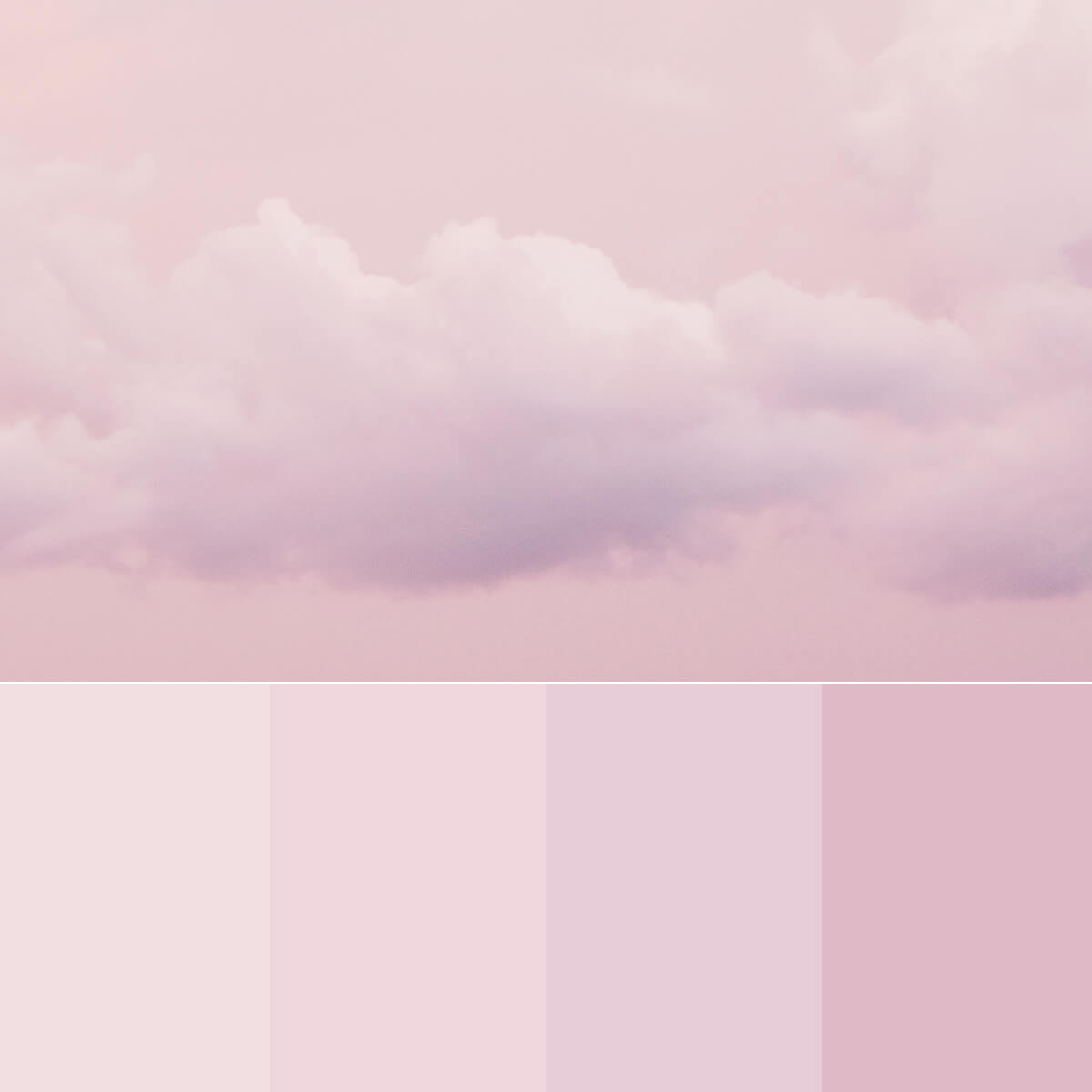 Palette / Soft Pink  Color palette pink, Soft pink color palette