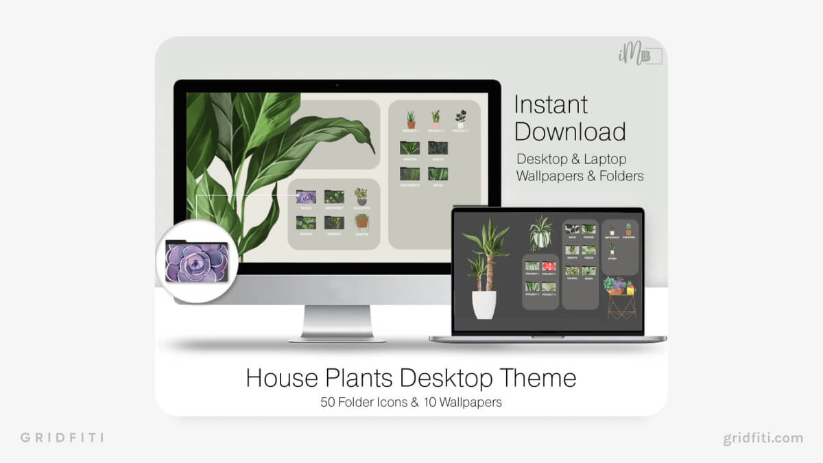 House Plants Desktop Organizer Wallpaper