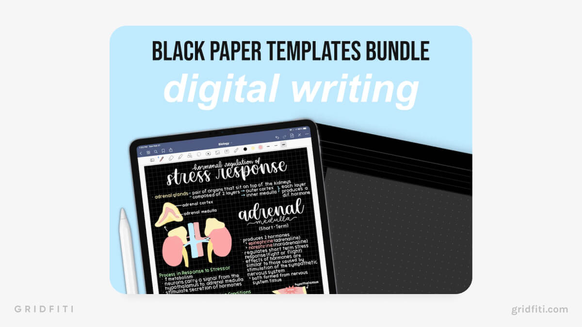 Black Paper Templates Bundle with Grid & Dotted Paper