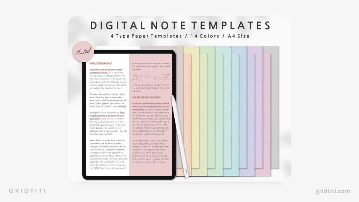 Colorful Note & Half-Note Templates