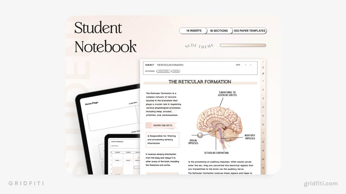 Student Notebook Template, Stickers & Inserts