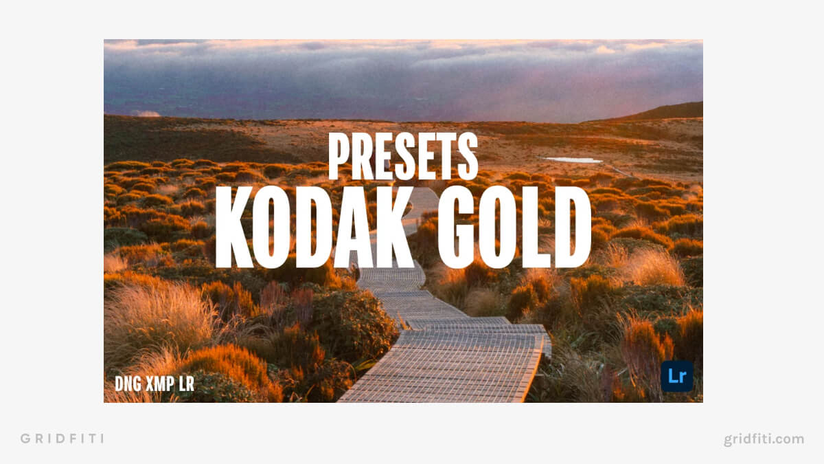 Kodak Gold Film Mobile Presets