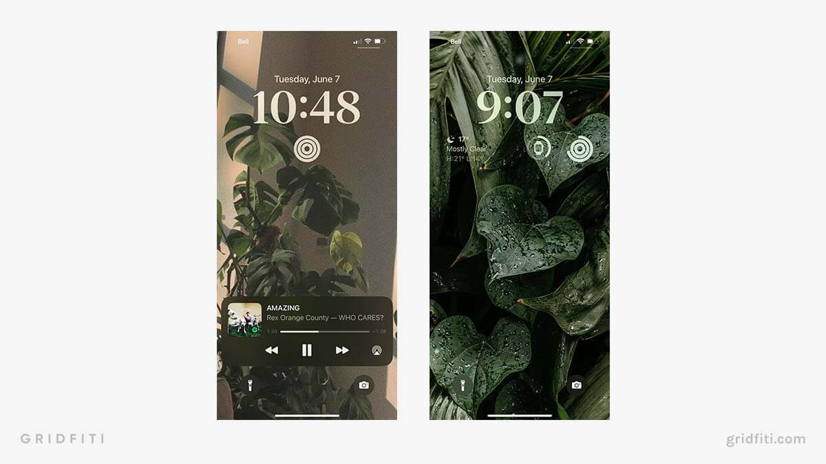 iPhone Plant Lock Screen Ideas