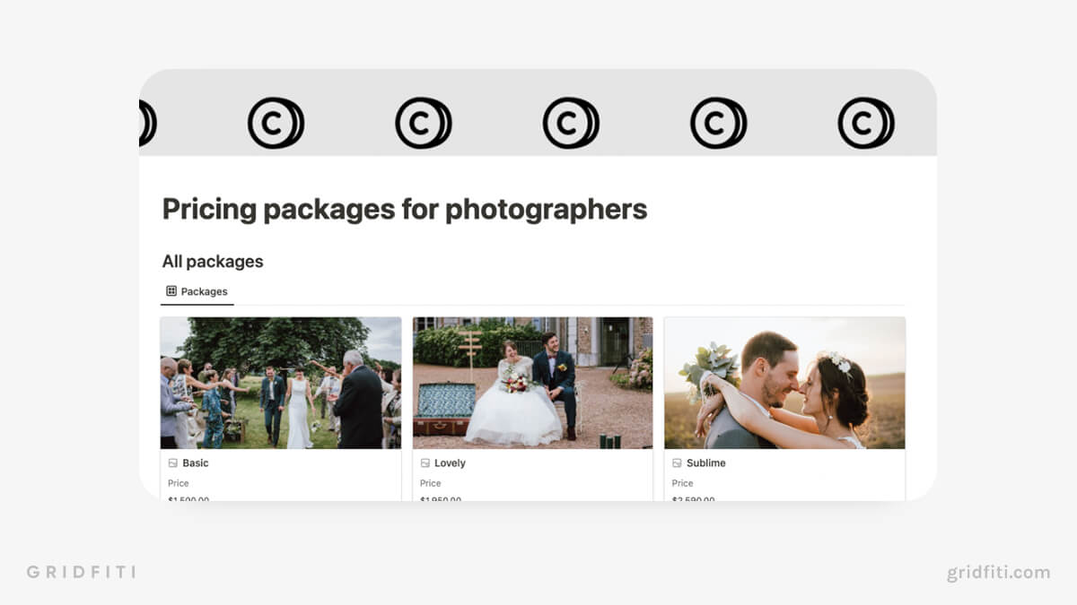 Notion Pricing Packages Template for Photographers