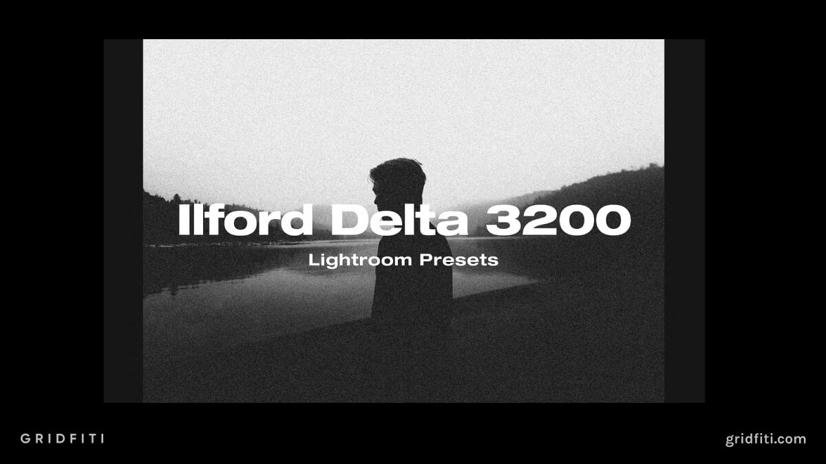 Ilford Delta 3200 Lightroom Presets