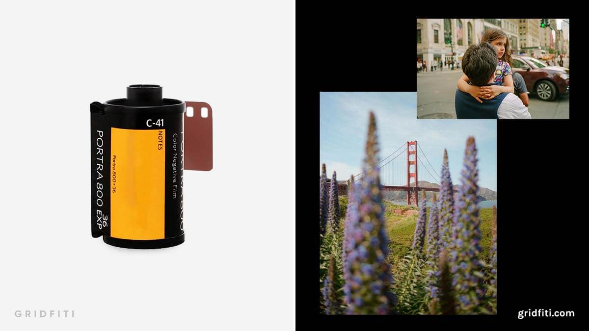Kodak Portra 800 vs. Cinestill