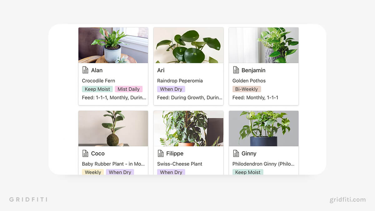 Notion Plant Care Template