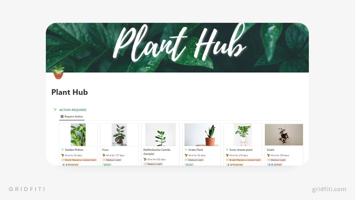 All-in-One Notion Plant Hub Template