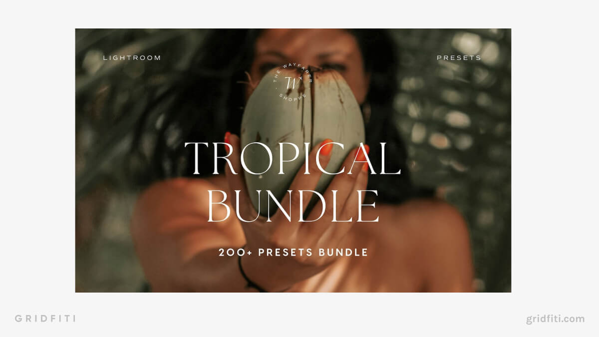 Aesthetic Tropical Summer Presets