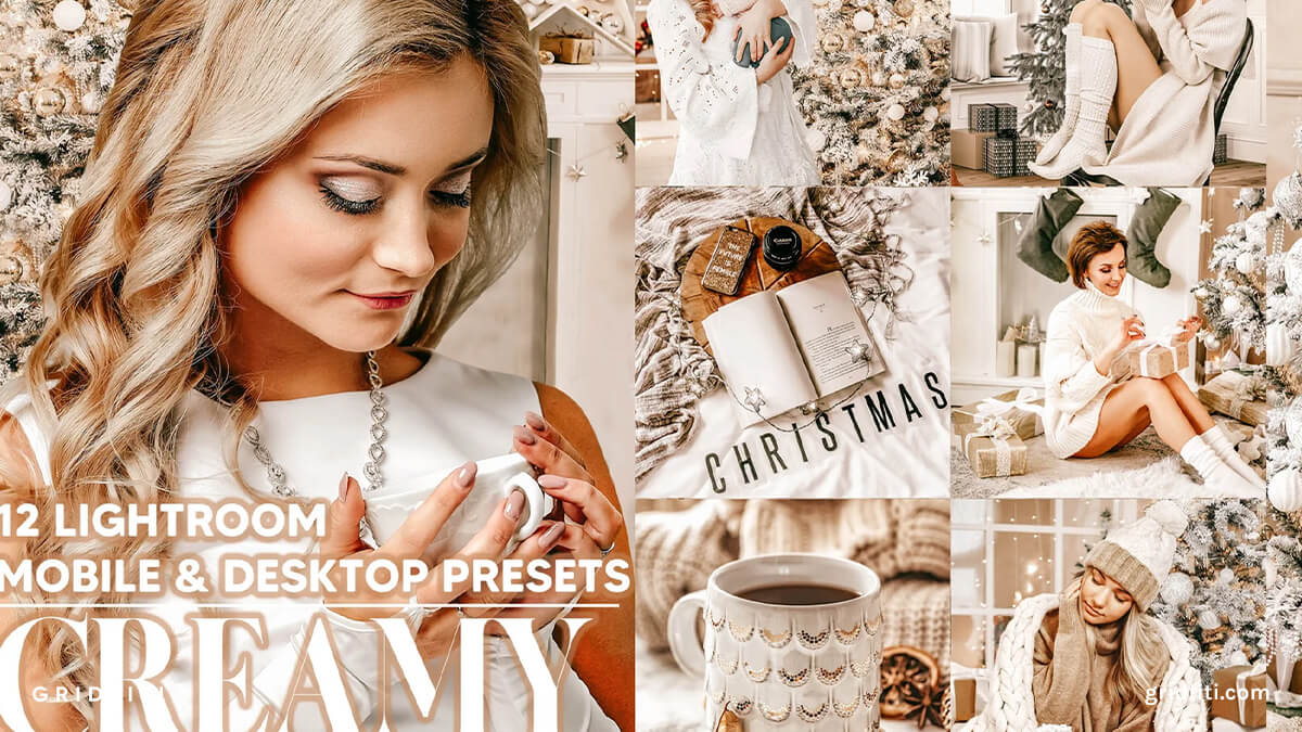 Neutral Blogger Christmas Presets for Lightroom