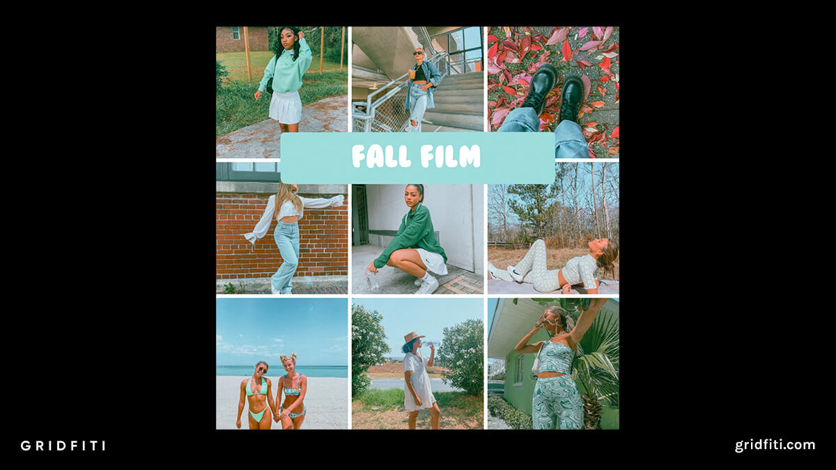 Free Fall Film Preset for Lightroom
