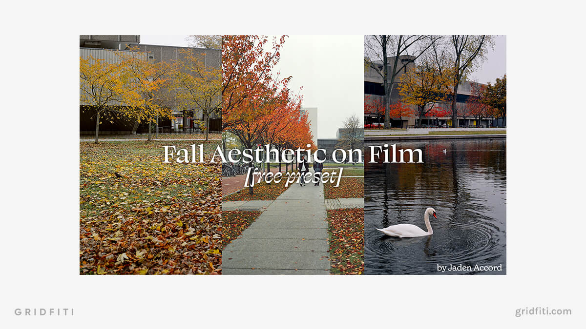 Fall Aesthetic Film Preset