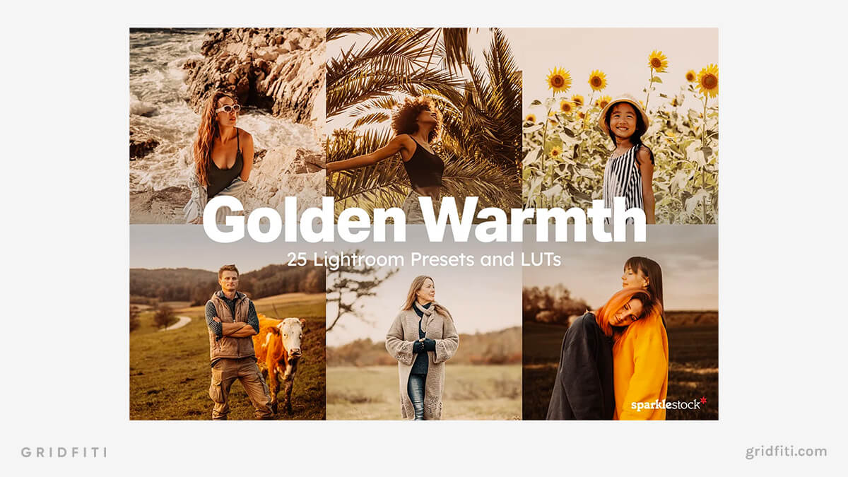 Golden Warmth Presets