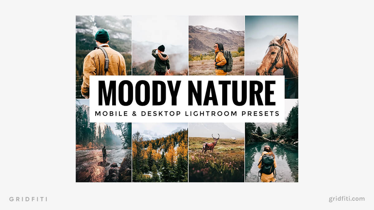 Moody Nature Lightroom Presets