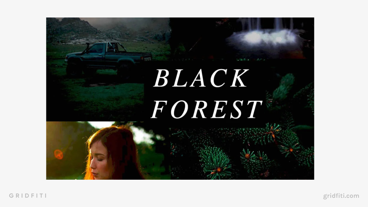Black Forest Moody Presets