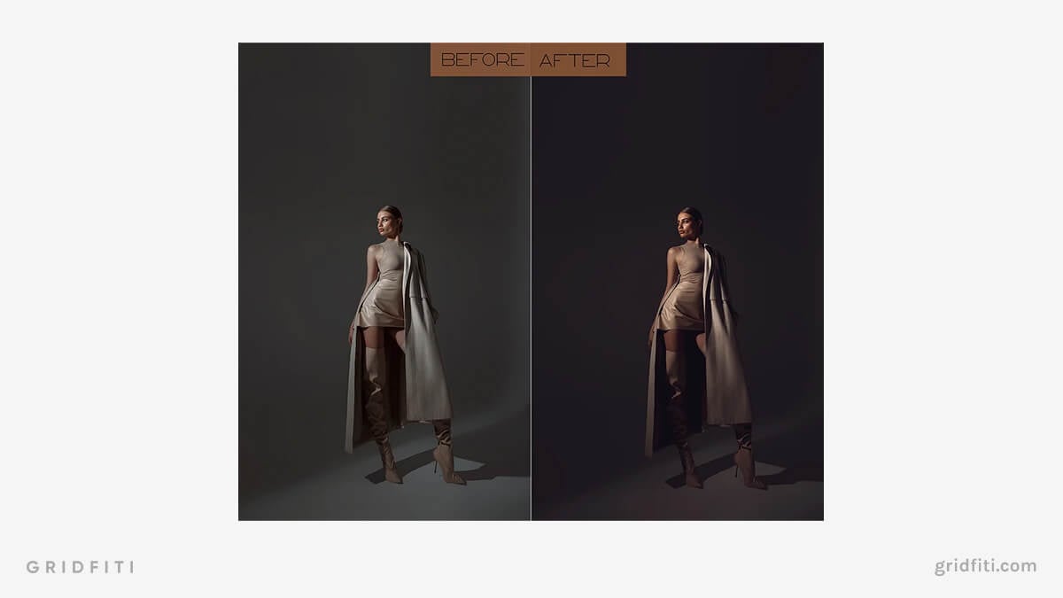 Dark Nude Moody Presets