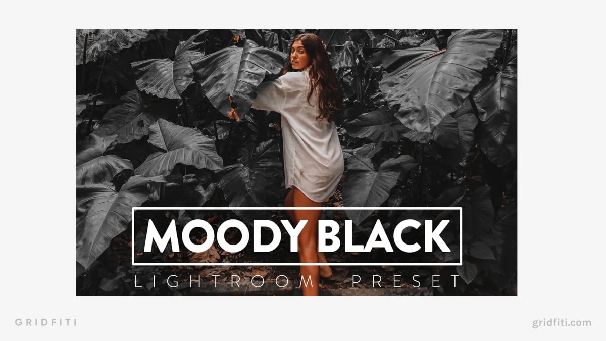 Moody Black Presets