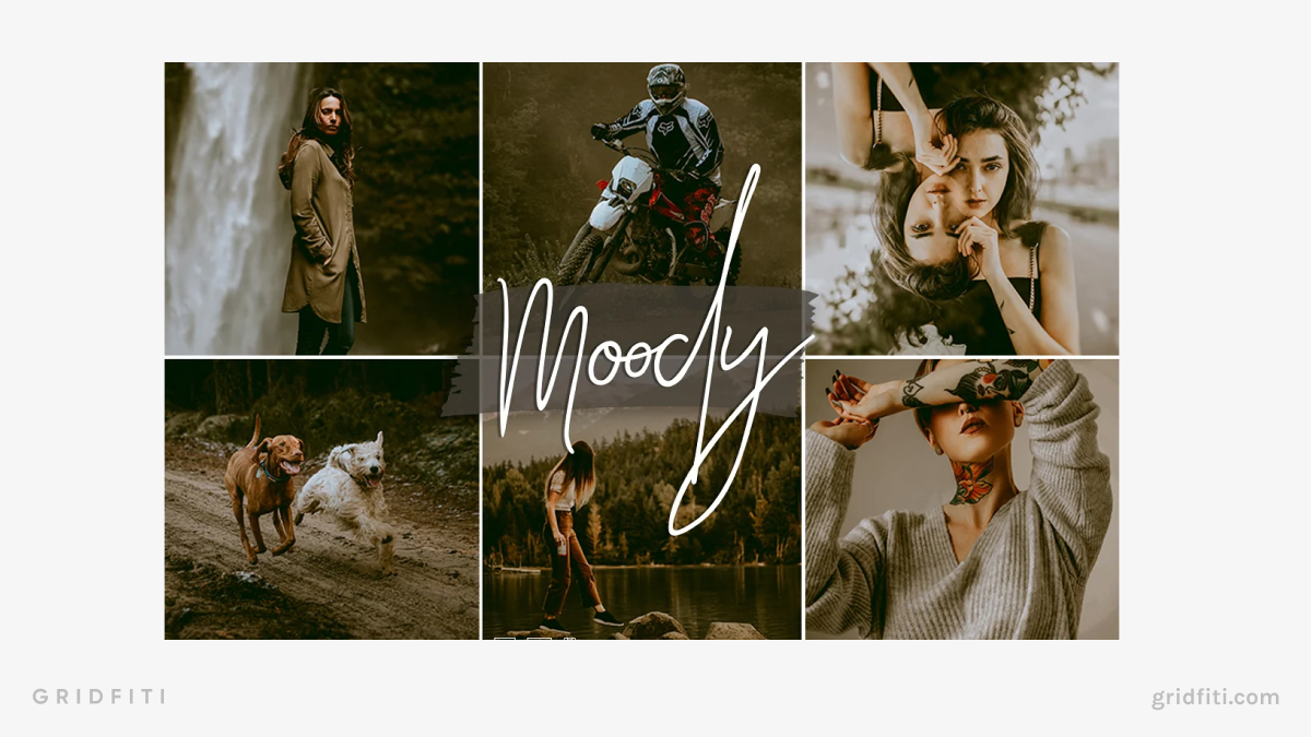 Signature Dark & Moody Presets