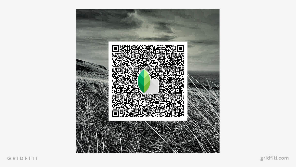 The 36 Best Snapseed QR Codes Presets Gridfiti