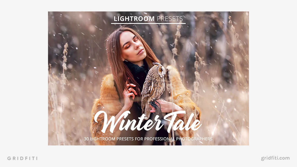 Winter Tale Lightroom Presets & Brushes