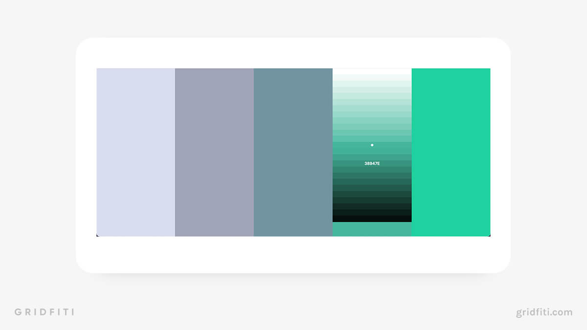 Create a Color Palette in Coolors
