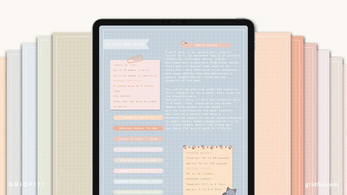 How to Take Aesthetic Notes on an iPad (Typed & Handwritten