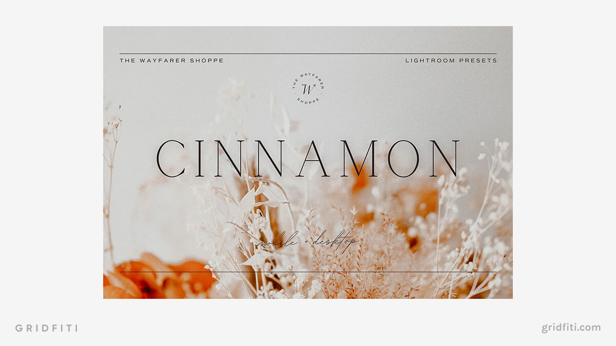 Light & Airy Fall Cinnamon Presets