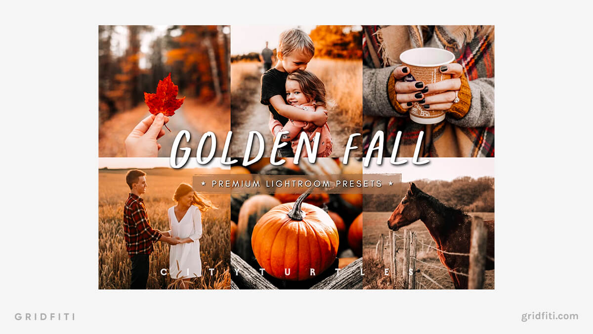 Golden Fall Lightroom Presets