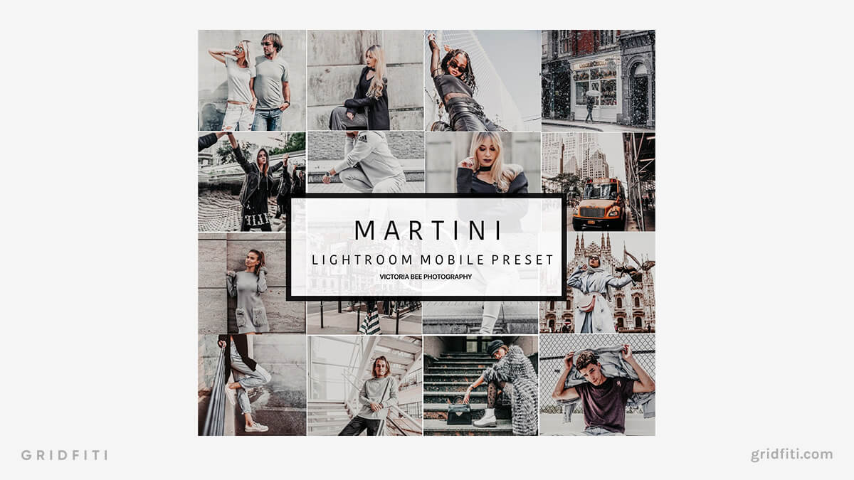 Martini Grey Presets