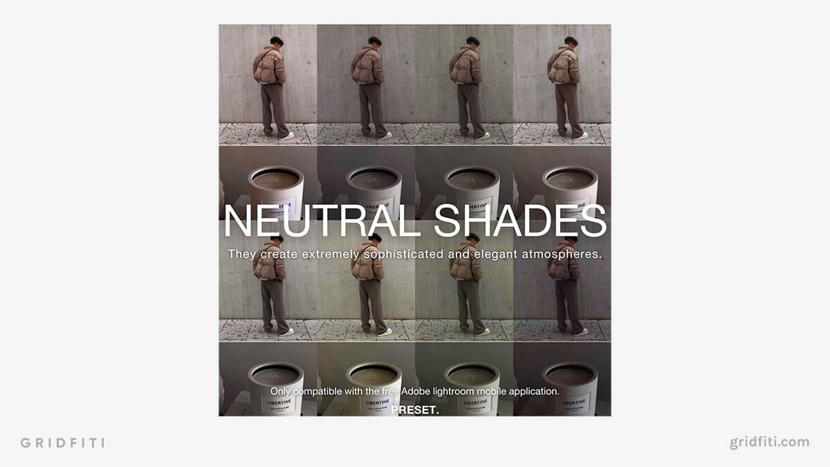 Neutral Shades Grey Presets