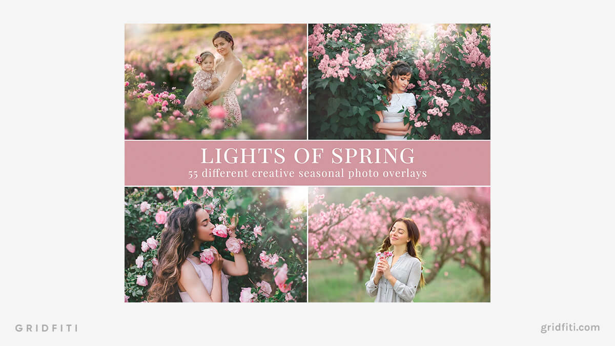 Lights of Spring Presets