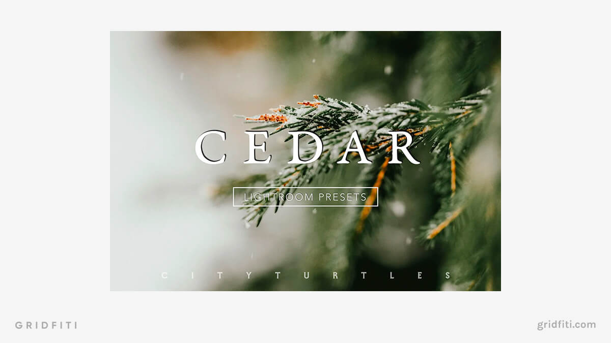 Cedar Moody Green Preset