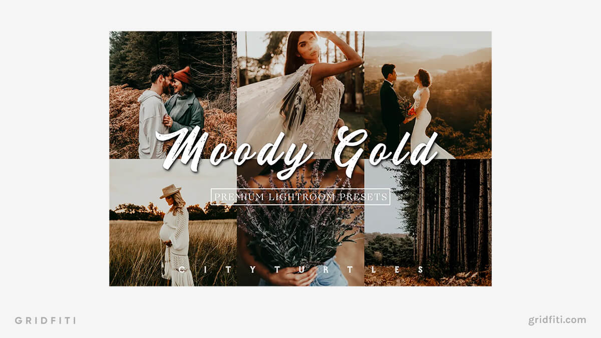 Moody & Gold Presets