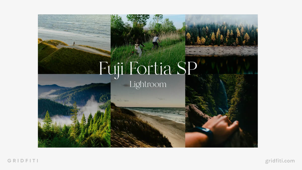 Fuji Fortia SP Presets