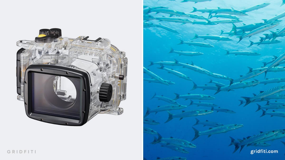Canon G7 X Settings for Underwater Photos