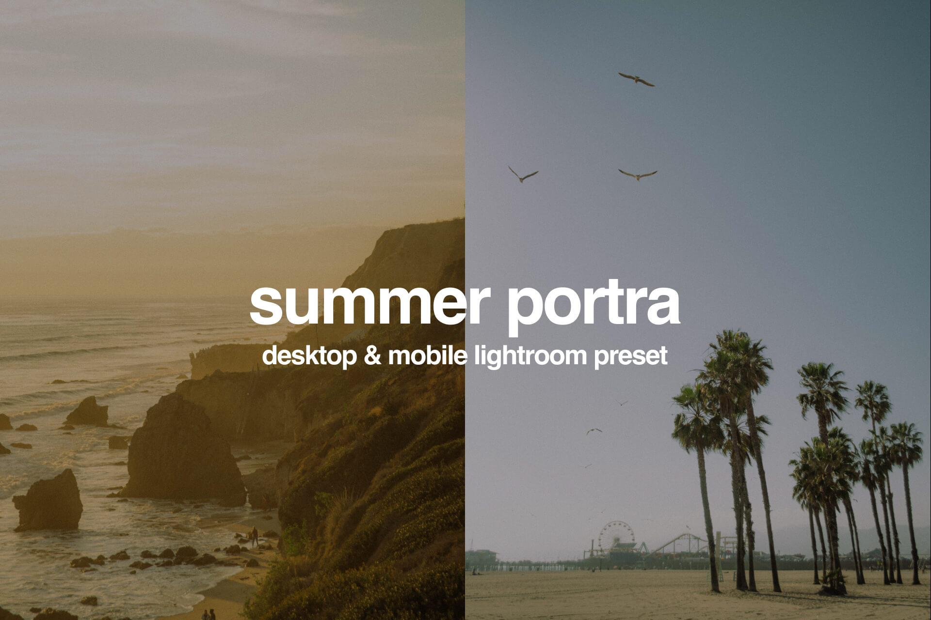 Free Summer Portra Film Preset