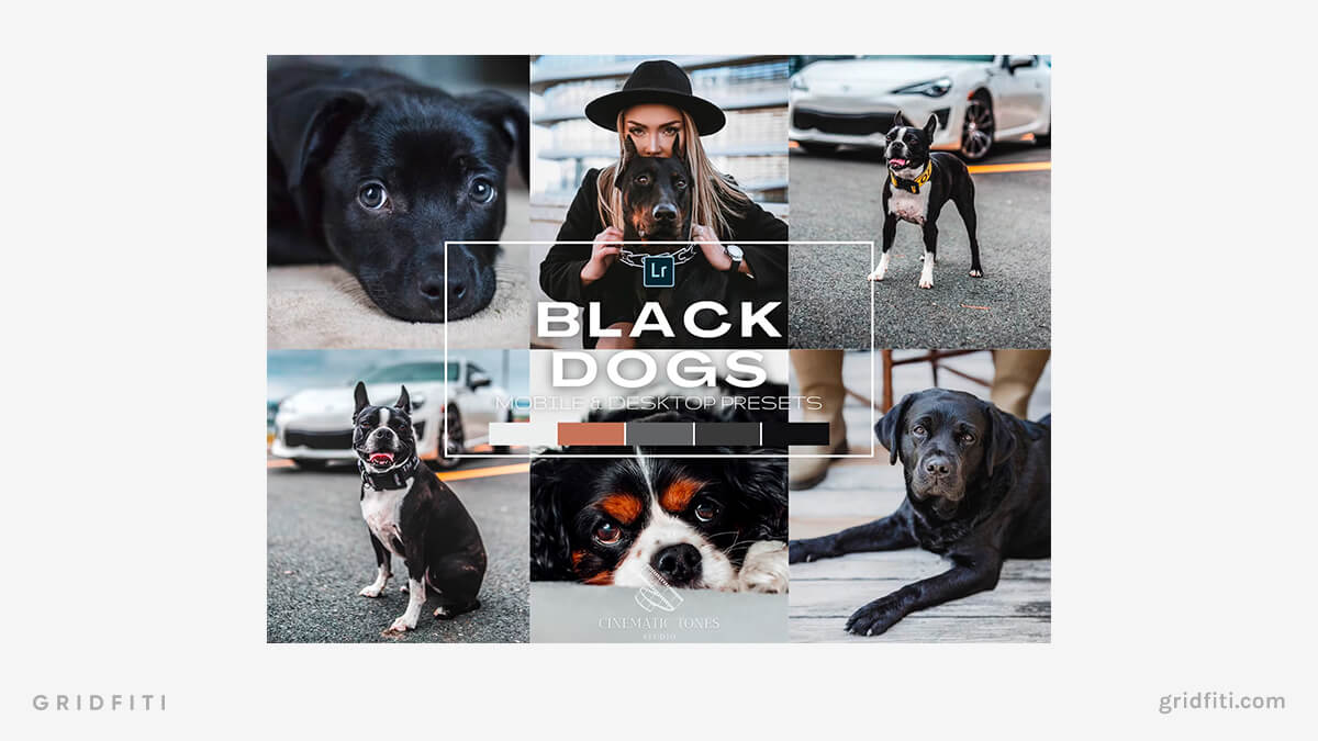 Black Dogs Presets