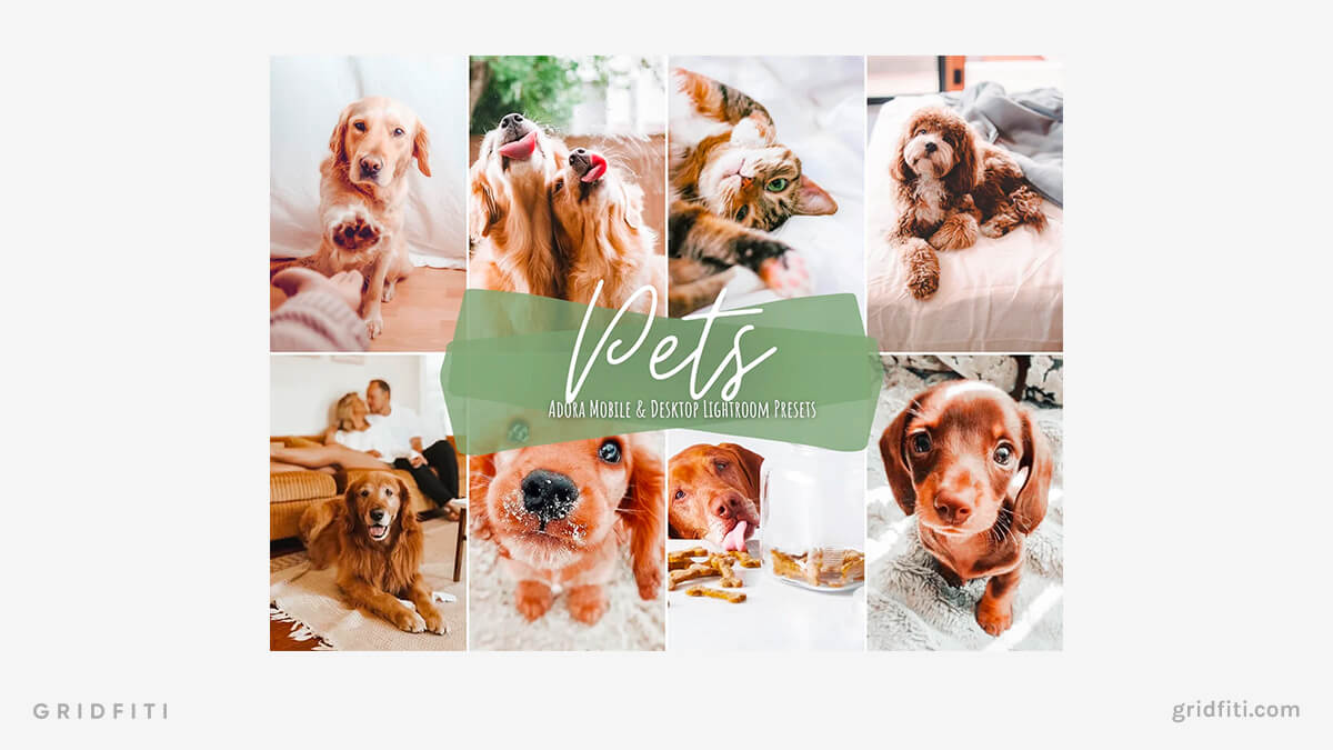 Bright & Airy Pets Presets