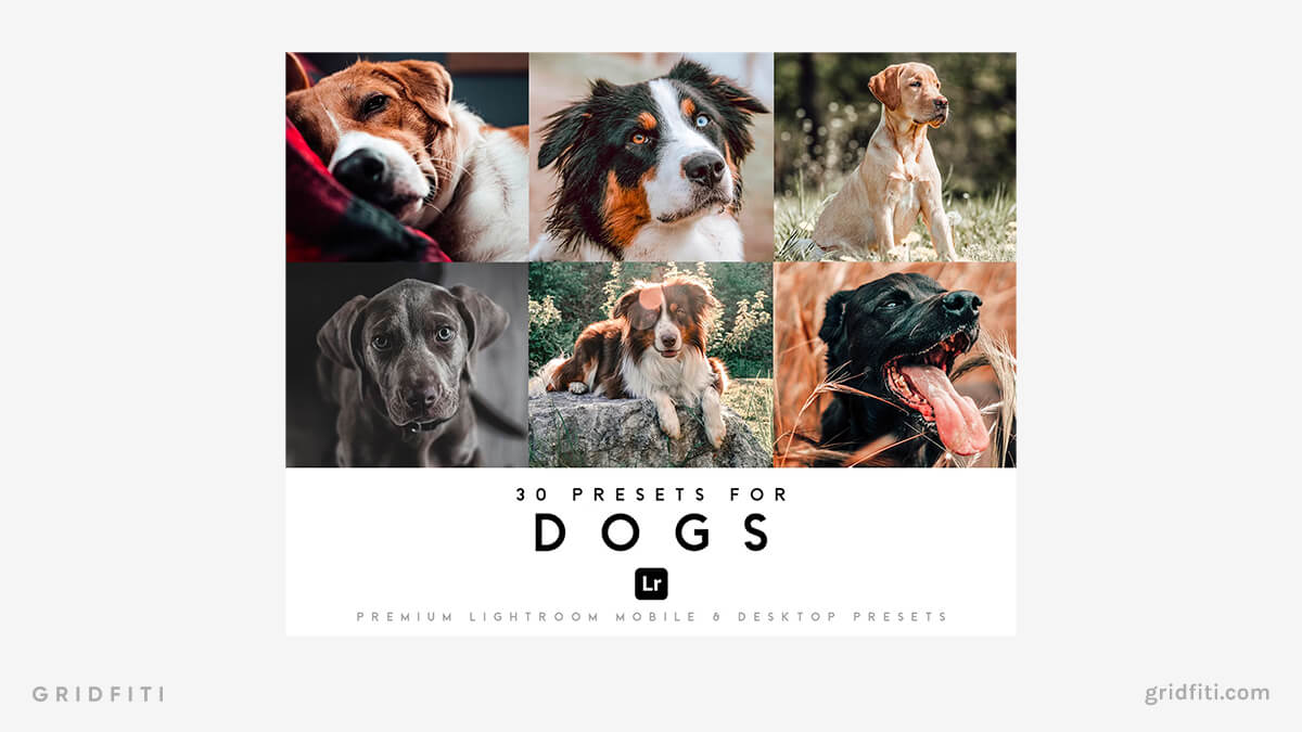 Dogs, Cats & Animals Presets