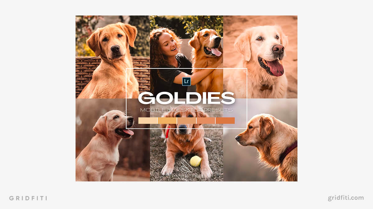 Goldies Dog Presets