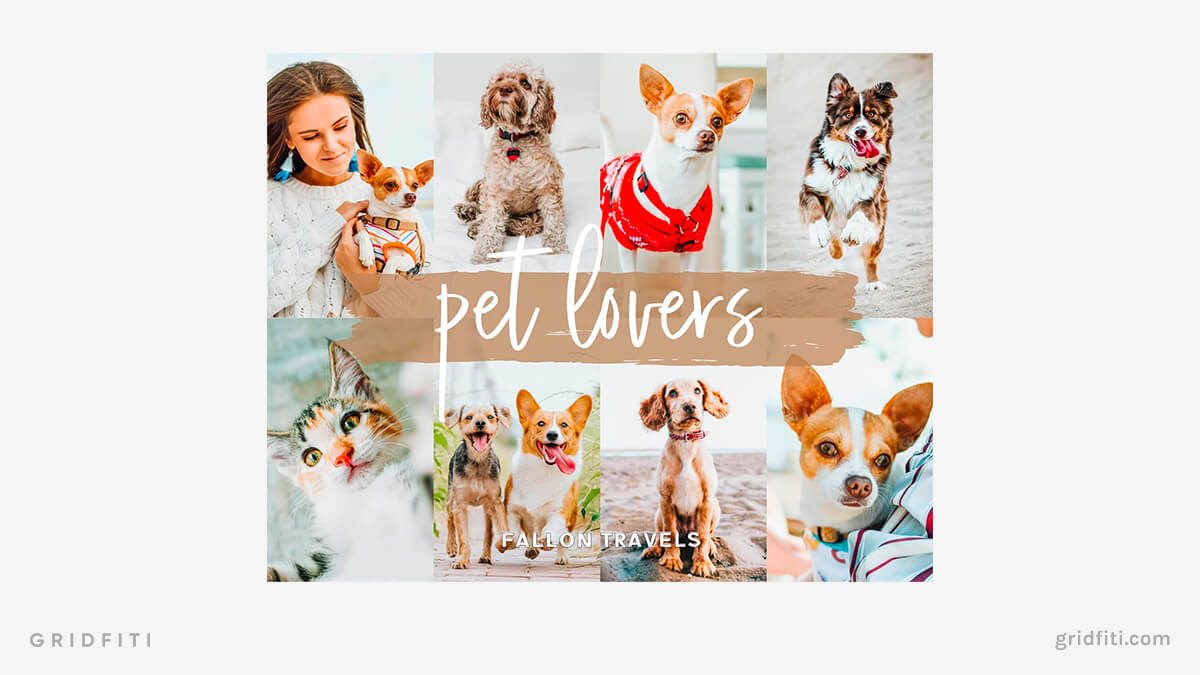 Pet Lovers Preset