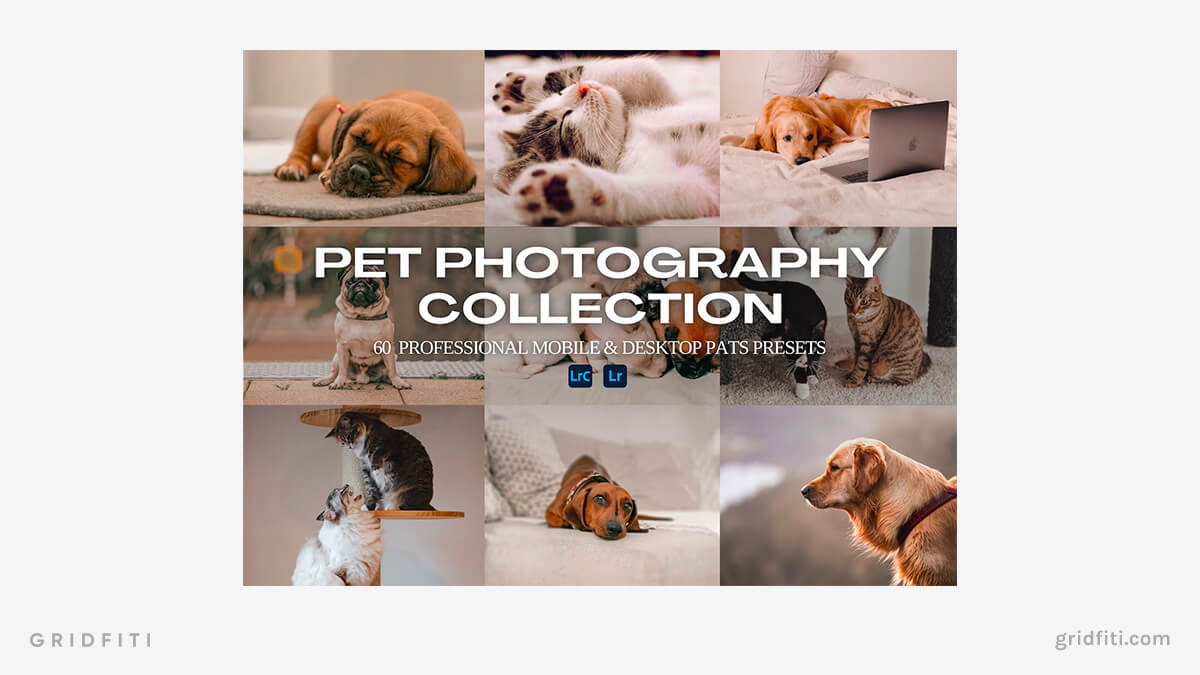 Pet Photography Preset Collection